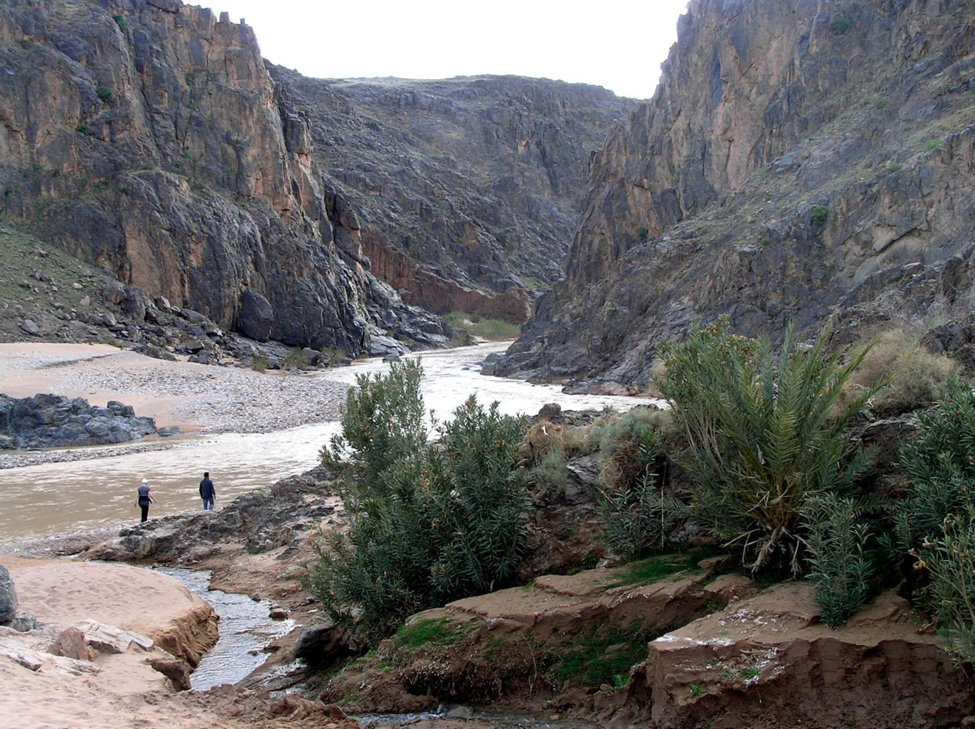 بيت شباب Kasbah Dar Bahnini سكورة المظهر الخارجي الصورة